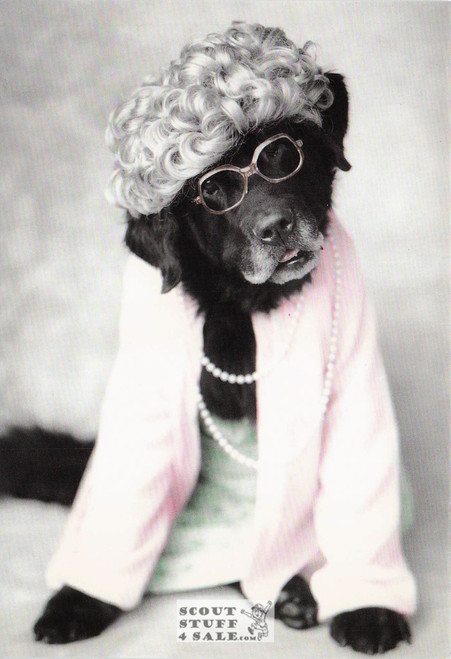 Grandma Storm, Rachael Hale Animal Photography Postcard, Classico SF #628-040