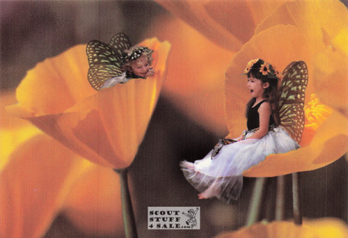 Sitting Pretty, Tiny Wonders Photography Postcard, Classico SF #646-024