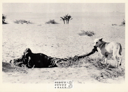 Gilles Caron Photography (1950) French Postcard, Editions Nugeron #CH23