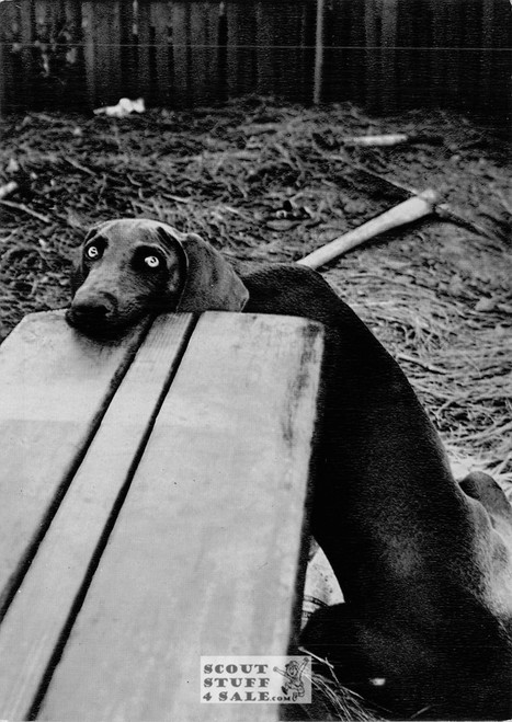 Henri De Chatillon Photography (1956) French Postcard, Editions Nugeron #CH24