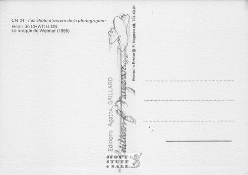 Henri De Chatillon Photography (1956) French Postcard, Editions Nugeron #CH24