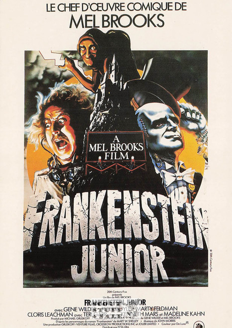 Young Frankenstein French Movie Poster Postcard, Gene Wilder, Ed. Nugeron #E241