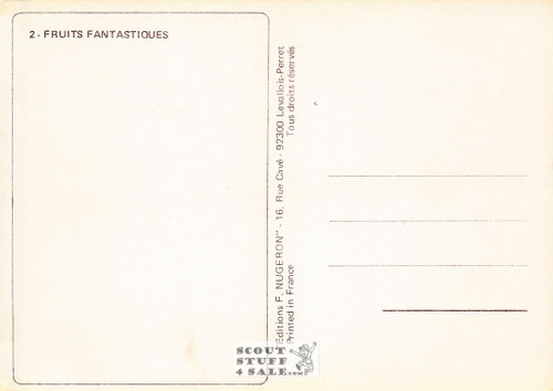 1910 Picture of Large Apples Postcard, Edward Mitchell, Editions Nugeron #FRUITS2