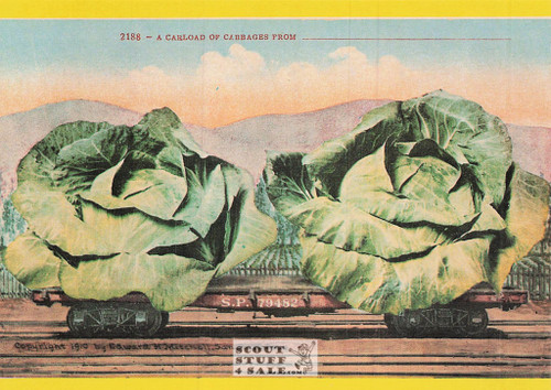 1910 Picture of Large Cabbages Postcard, Edward Mitchell, Ed. Nugeron #FRUITS3