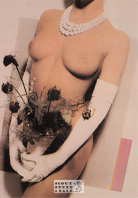 Illustration Art by Didier Gaillard, French Postcard, Editions Nugeron #H447