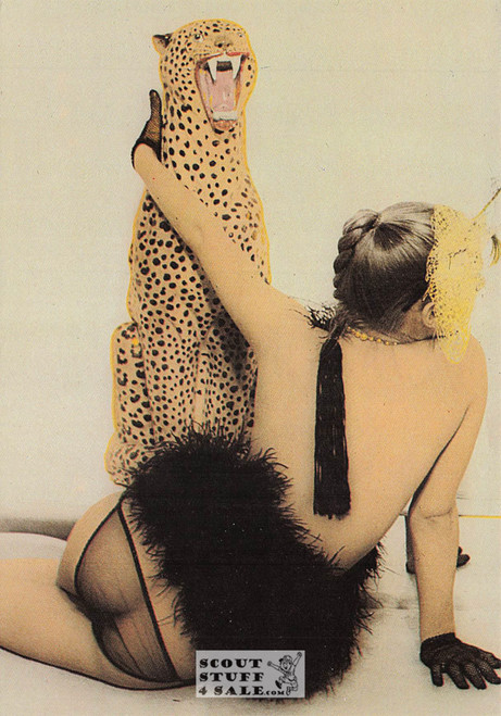 Illustration Art by Didier Gaillard, French Postcard, Editions Nugeron #H461