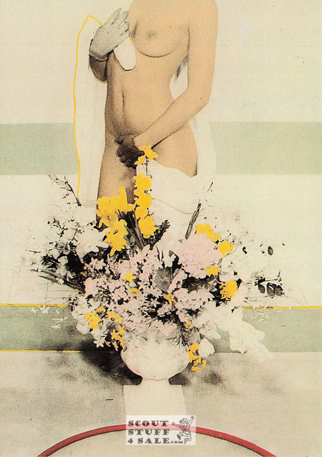 Illustration Art by Didier Gaillard, French Postcard, Editions Nugeron #H462