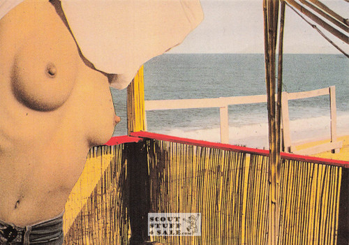 Illustration Art by Didier Gaillard, French Postcard, Editions Nugeron #H463