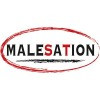 Malesation