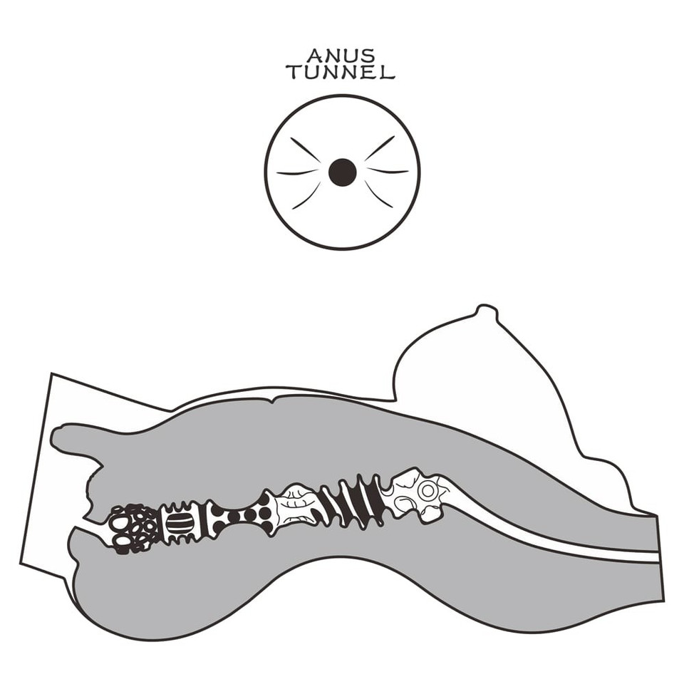 Streetgirl's #8 Black Streetgirl's #8 Black