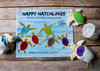 Happy Hatchlings Toy