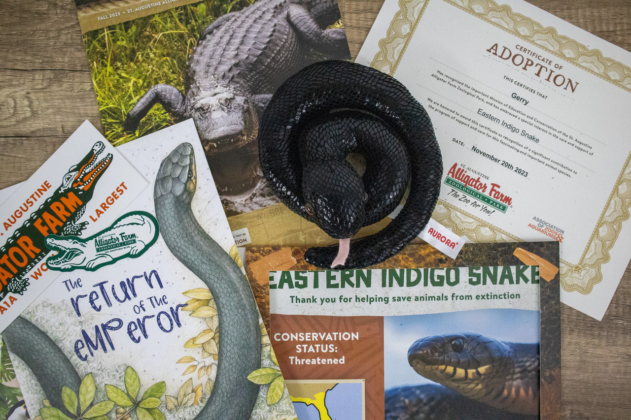 Eastern Indigo Snake Adoption Kit
