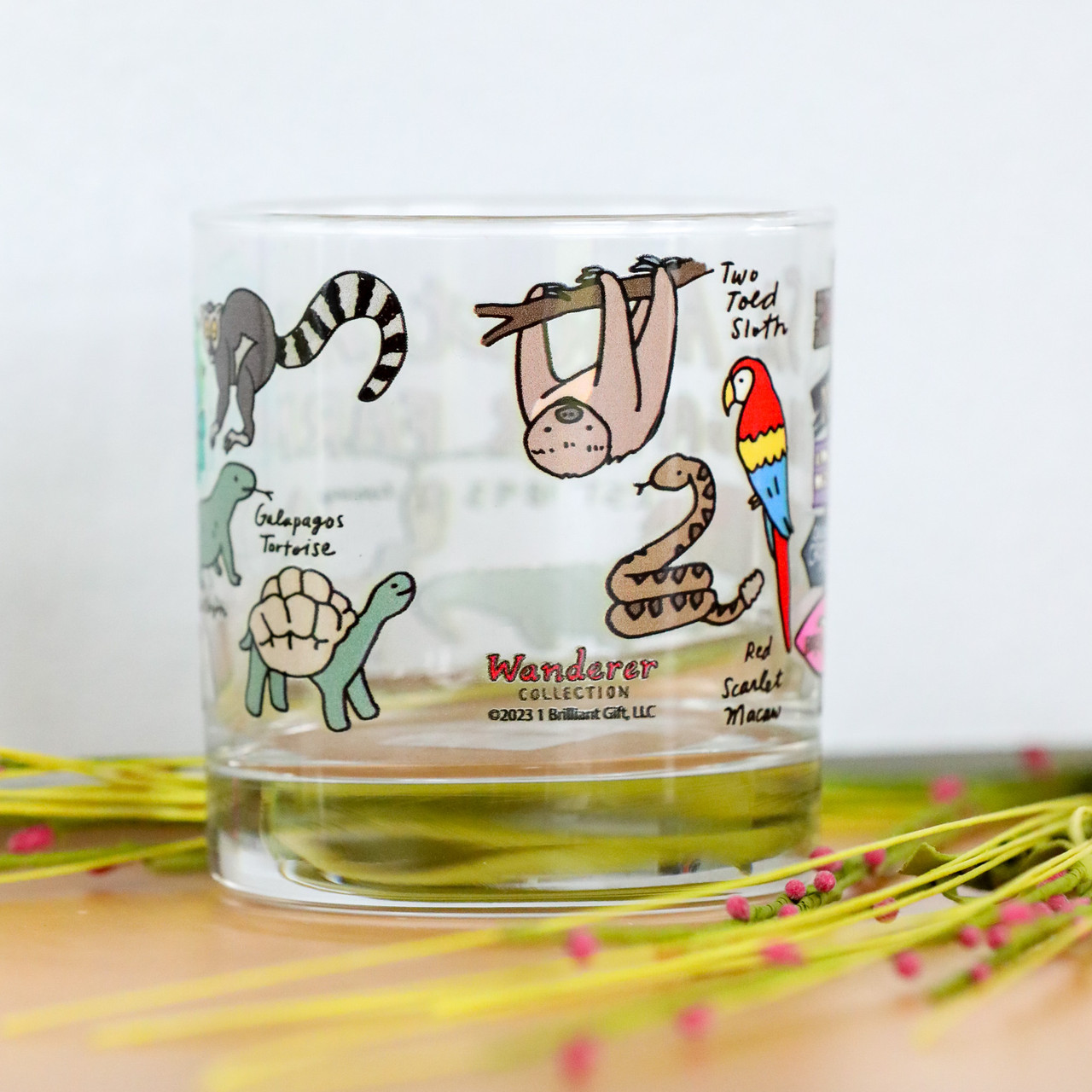 Wanderer Zoo Glass