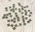 5mm Antique Silver Square Daisy Spacer Beads (100 Pack) | JSIS