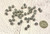 6mm Antique Silver Spacer Beads (50 Pack) | Bulk Beads