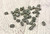7mm Antique Silver Barrel Spacer Beads (60 Pack) | Bulk Jewelry Supply