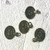 Antique Brass Ottoman Coin Charms - 30 Pack | Just Ship It Shop