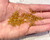 Vintage Swarovski 5301 4mm Bicone Crystals, AB Finish (100-Pack) - 0.8mm Hole
