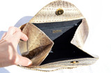  Unique Deco Style 1970's Snake Skin Wristlet Handbag - R. SALDANA 