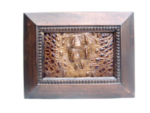  9 x 7 Custom FRAMED Vintage Genuine Hornback CROCODILE Skin Upcycled ART - Home Decor 