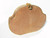  G. CORSINI 1970's-80's Hard-Sided LIZARD Skin CLUTCH - ITALY! 