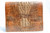 Large 1940's-50's HORNBACK CROCODILE Skin PORTFOLIO Case Shoulder Bag 