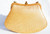  Jeweled 1960's Irridescent YELLOW ALLIGATOR Belly Skin Shoulder Bag - DUETTE 