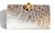  1990's Cream & Tan Crocodile Skin Clutch Shoulder Bag - RAM HEAD 