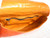  New! ROCKSTAR *ORANGE* Hornback CROCODILE TAIL Wrap CLUTCH 