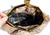  XXL 15" TAUPE 1970's PYTHON Snake Skin CLUTCH Shoulder Bag - MOSKOWITZ 
