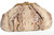  XXL 15" TAUPE 1970's PYTHON Snake Skin CLUTCH Shoulder Bag - MOSKOWITZ 