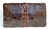  Lovely Brown 1930's-40's Hornback ALLIGATOR Skin Clutch Shoulder Bag 