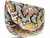  FAN SHAPE 1970's-80's Multi-Color PYTHON Skin CLUTCH Shoulder Bag 
