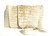  New! XXL ROCKSTAR Style Natural Bone Hornback CROCODILE TAIL Wrap CLUTCH Shoulder Bag 