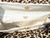  PARAPINI WHITE 1980's-90's CROCODILE Belly Skin CLUTCH Bag 