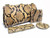  Fabulous 1940's-50's PYTHON Snake Skin CLUTCH Bag with Accessories 
