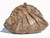  Tan 1980's COBRA Snake Skin CLUTCH Shoulder Bag - Le Ann 