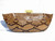  Sleek 1940's-50's PYTHON Snake Skin CLUTCH Bag LUCITE! 