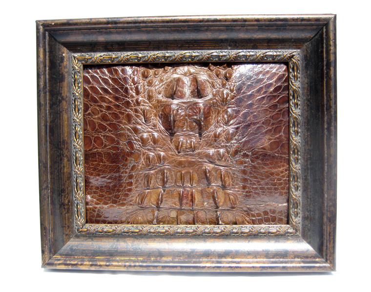 XL 14 x 12 Custom FRAMED  Vintage Genuine ALLIGATOR Skin Upcycled ART - Home Decor