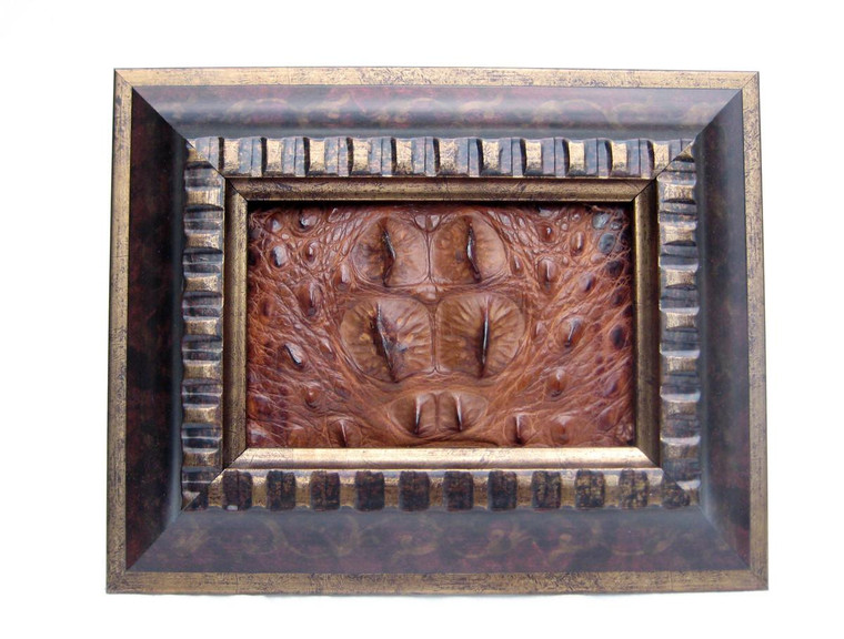  Custom FRAMED  10 x 8 Vintage Genuine ALLIGATOR Skin Upcycled ART - Home Decor 
