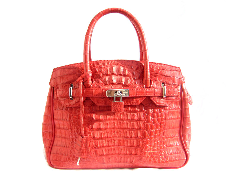 Stunning RED Hornback Crocodile Skin Tote HANDBAG - Silver!