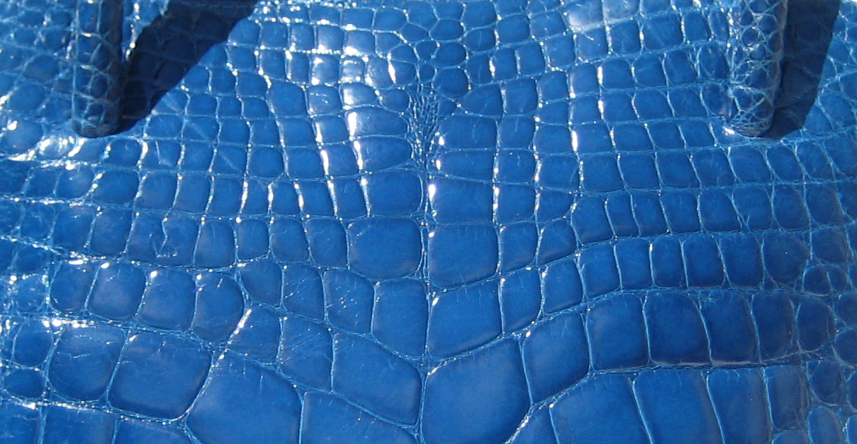 crocodilian