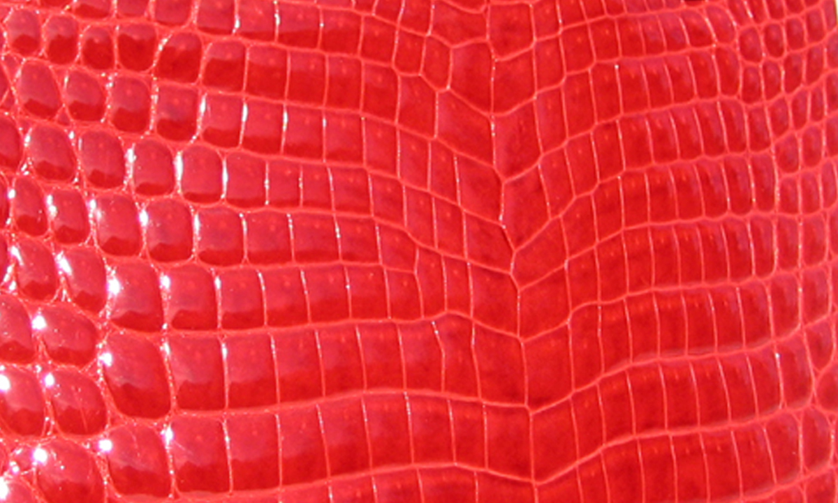 crocodilian