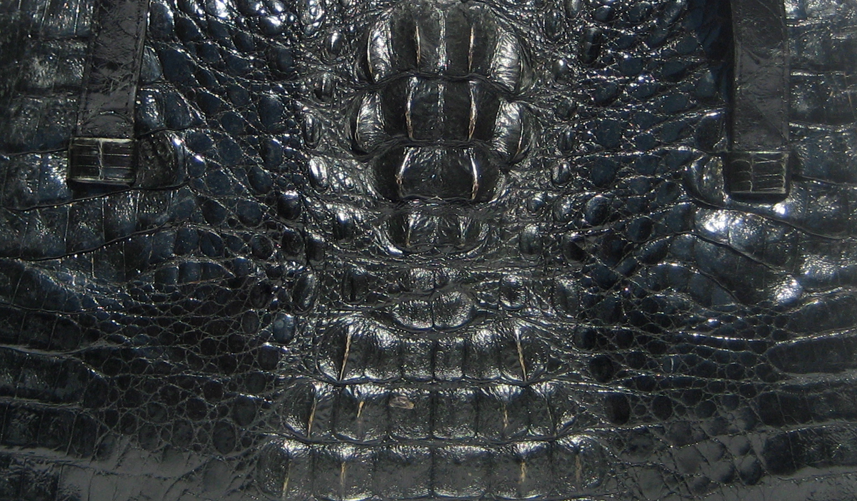 crocodilian