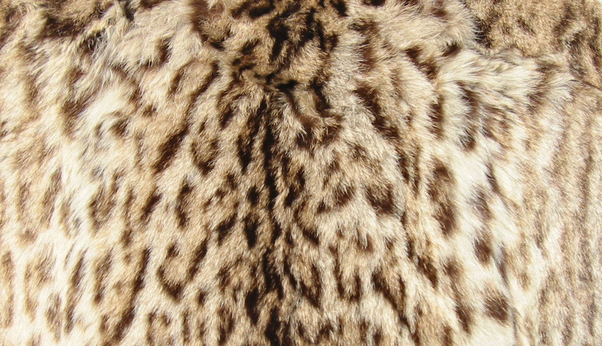 Ostrich Leg