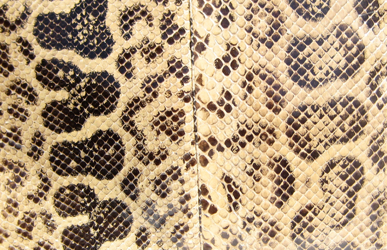 snake