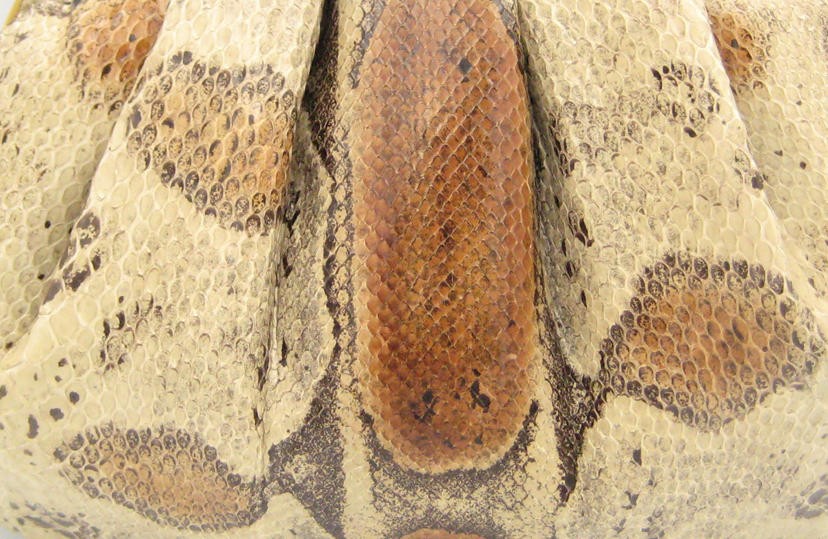 snake