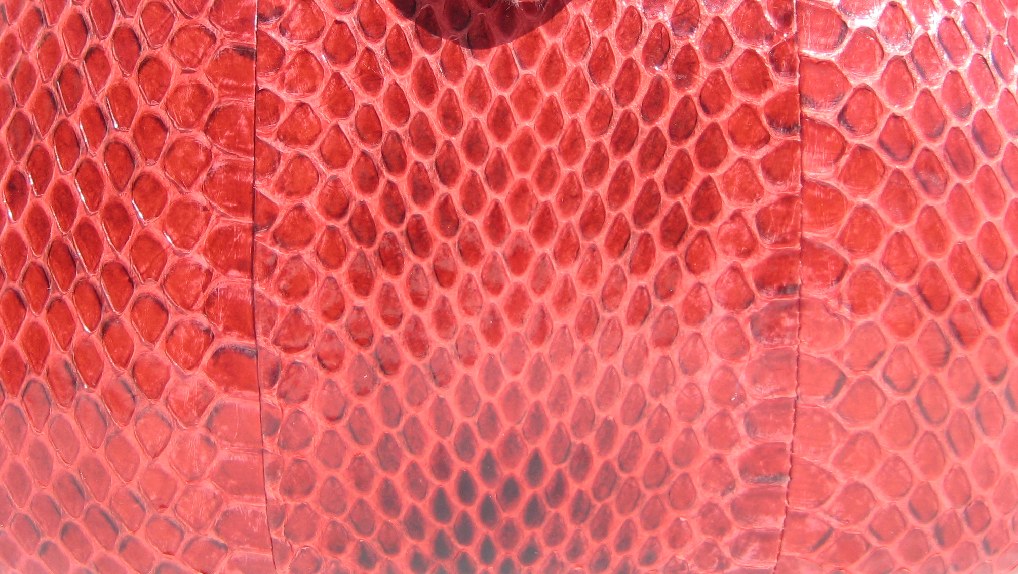 snake