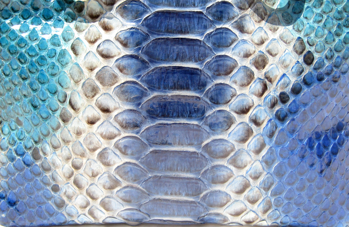 snake