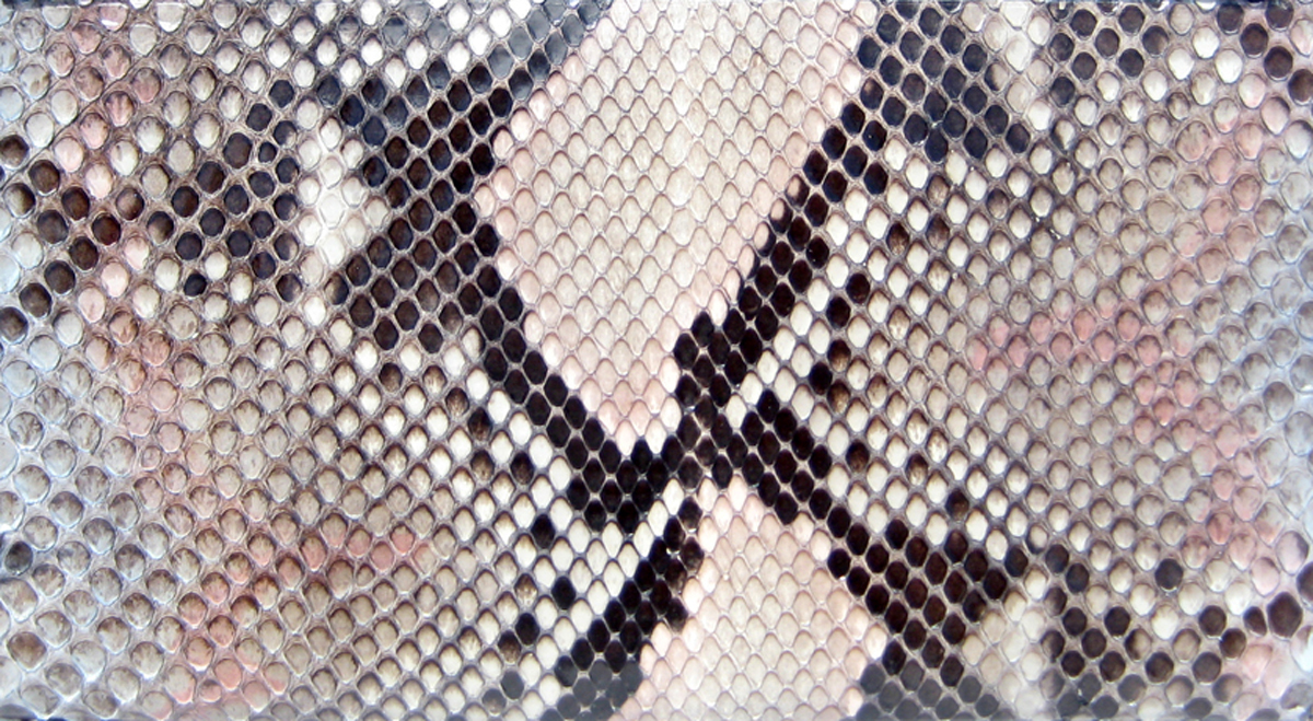 snake